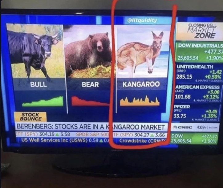 CNBC Closing Bell showing BULL, BEAR and KANGAROO panels — Berenberg: stocks are in a kangaroo market