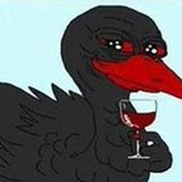 DODO the black swan